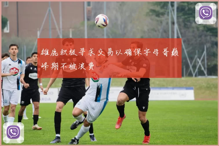 雄鹿积极寻求交易以确保字母哥巅峰期不被浪费