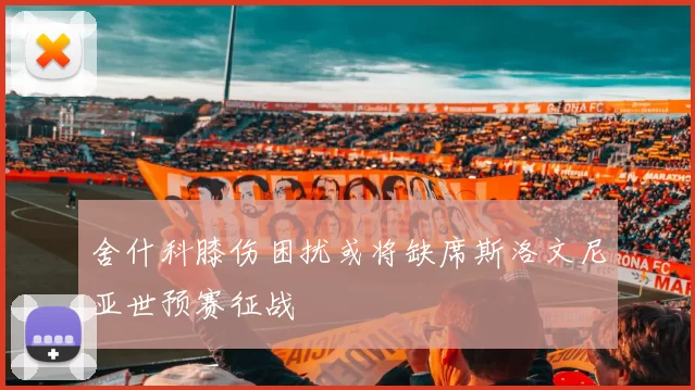 舍什科膝伤困扰或将缺席斯洛文尼亚世预赛征战